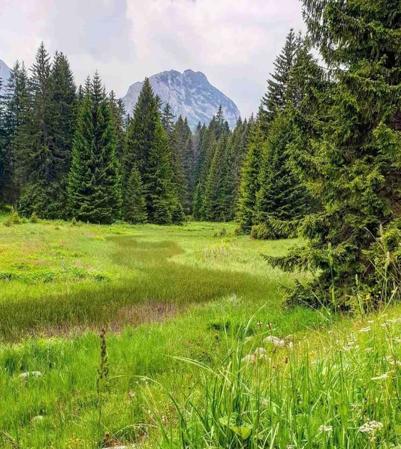 Виллы Vila Cicarelli Zabljak Жабляк-27
