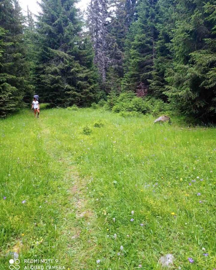 Виллы Vila Cicarelli Zabljak Жабляк-28