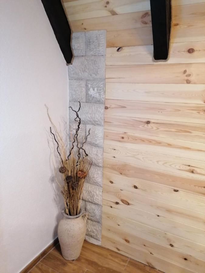 Виллы Vila Cicarelli Zabljak Жабляк-38