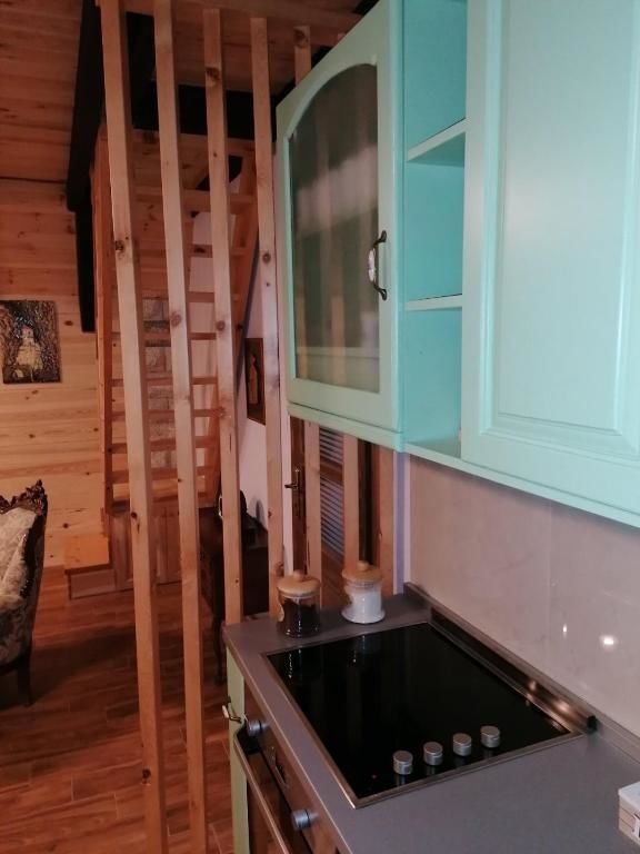 Виллы Vila Cicarelli Zabljak Жабляк-60