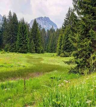Виллы Vila Cicarelli Zabljak Жабляк Вилла с 3 спальнями-24